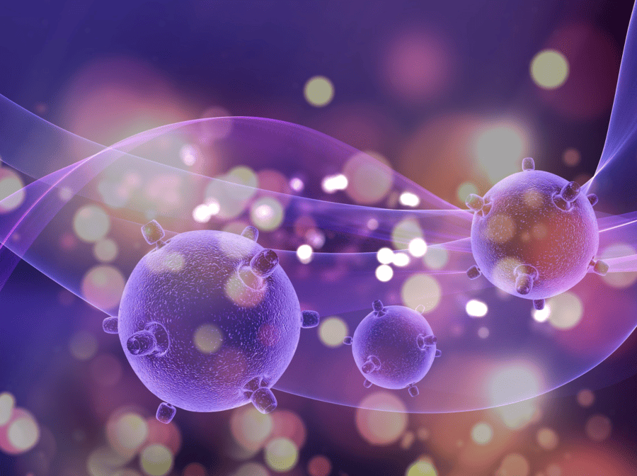 Передовые технологии замедления старения Zoe Biosciences: научный фундамент